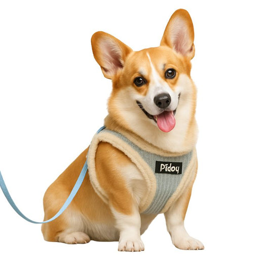 harnais chien petit chien