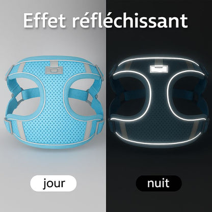 Dog Harness Leash Set for Small Medium Dog Cat Chest Strap Reflective Dog Clothes Vest Set Chihuahua Outdoor Walking Pet Supplie