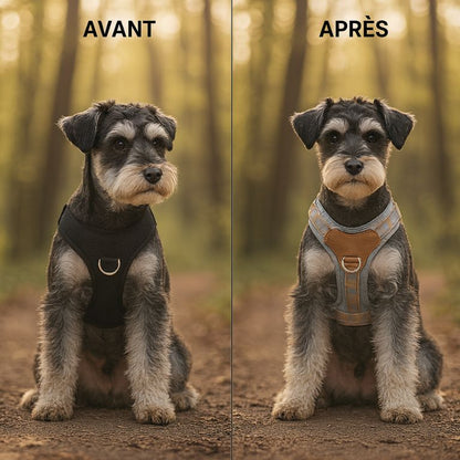 Harnais Pas Cher pour Chien – Confort et Sécurité à Petit Prix