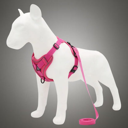 harnais chien rembourré