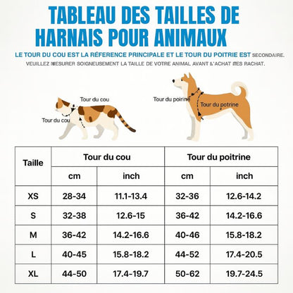 harnais chien usage intensif