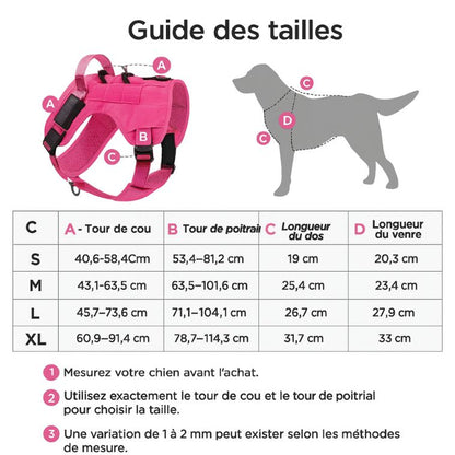 harnais chien avec poignée