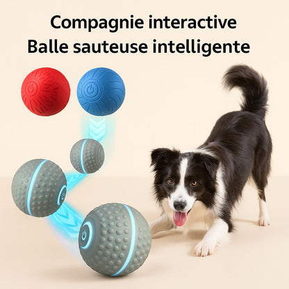 Smart Dog Toy Ball Automatic