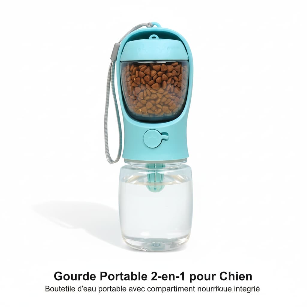bouteille pour chien