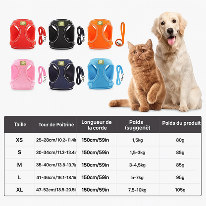 Reflective Pet Harness And Leash Set For Dog & Cat, No Pull Dog Vest Harness With Breathable Mesh
