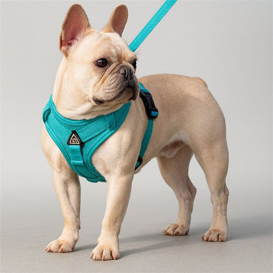 Harness and Leash Set Pet Accessories Dog Harness For Small Dog French Bulldog Pug Pitbull Puppy Pectoral Collar Chiens Supplies