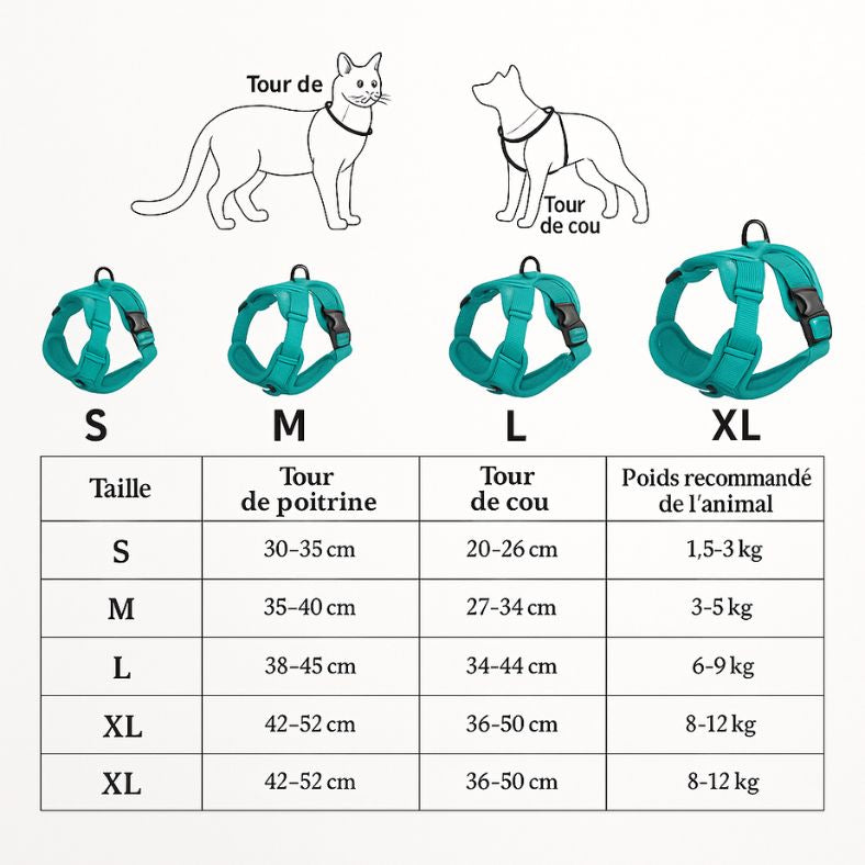 harnais chien respirant