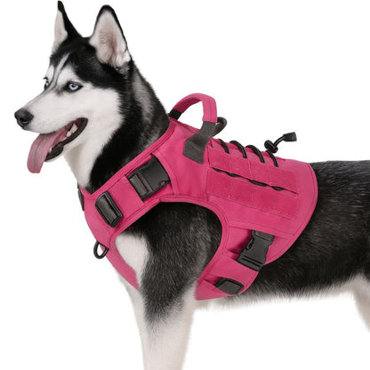 harnais chien urbain