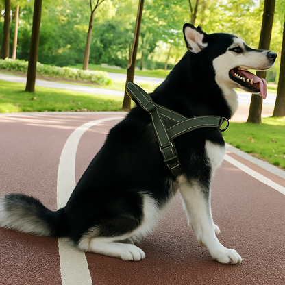 Tactical Anti-Pull Dog Harness - 1000D Nylon Adjustable for Large Dogs, Outdoor Training Vest with Handle & Reflective