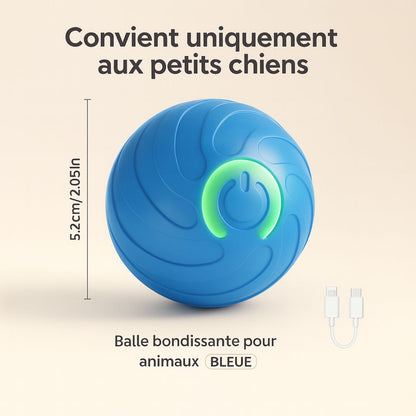 Smart Dog Toy Ball Automatic