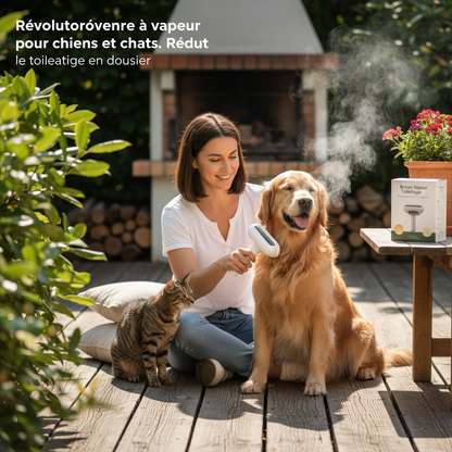 Steam Spray Dog Grooming Brush Unique Steam Brush For Dogs Luxury Grooming Brush Dog Steam Brush C