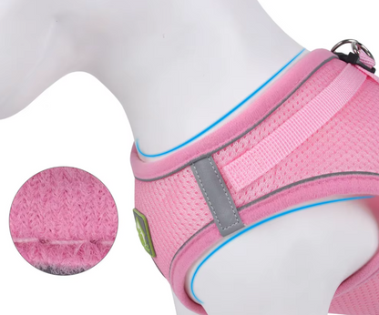 Reflective Pet Harness And Leash Set For Dog & Cat, No Pull Dog Vest Harness With Breathable Mesh