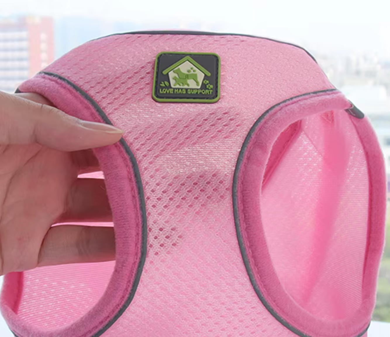 Reflective Pet Harness And Leash Set For Dog & Cat, No Pull Dog Vest Harness With Breathable Mesh