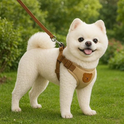 harnais chien professionnel