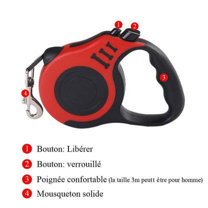 3m 5m Dog Leash for Small Dogs Cat Automatic Retractable Durable Nylon Lead Puppy Outdoor Travel Walking Hiking Traction Rope