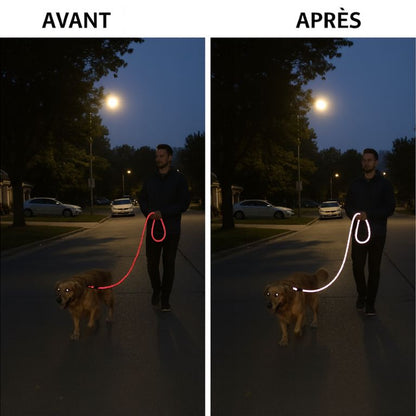 Reflective Dog Leash With Comfortable Padded Handle - Double Heavy Duty Traction Rope For Strong Dogs - Enhance Safety And Contr