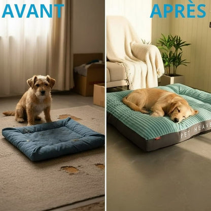 lit surélevé pour chien