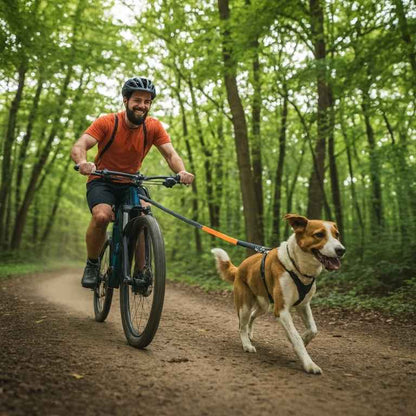 Retractable Dog Leash with Adjustable Waist Rope Hand Free Running Jogging Cycling Big Dogs Pet Elasticity Lead Pet Supplies