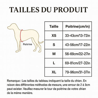 Meilleur Harnais Chien Randonnée – Confort et Sécurité en Plein Air