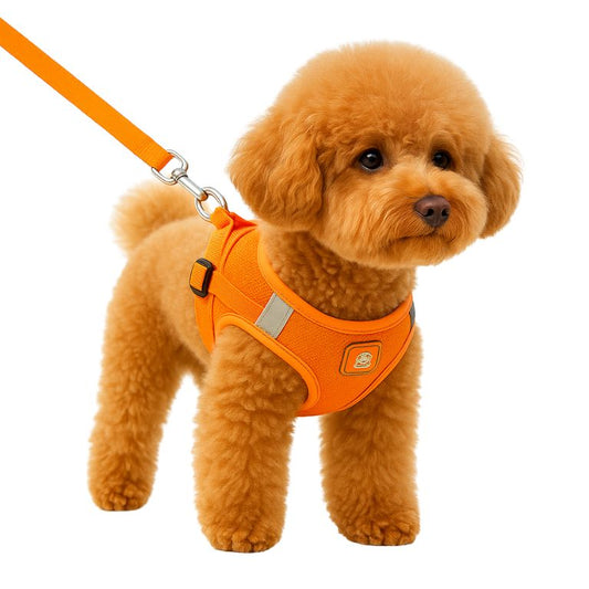 harnais chien robuste