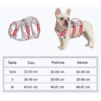 Harnais Anti Traction pour Chien – Promenades Sans Tirer