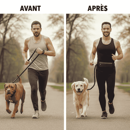 Hands Free Dog Leash for Running Walking Reflective Leash with Waist Bag Retractable Elastic Belt Dog Traction Rope Pet Products