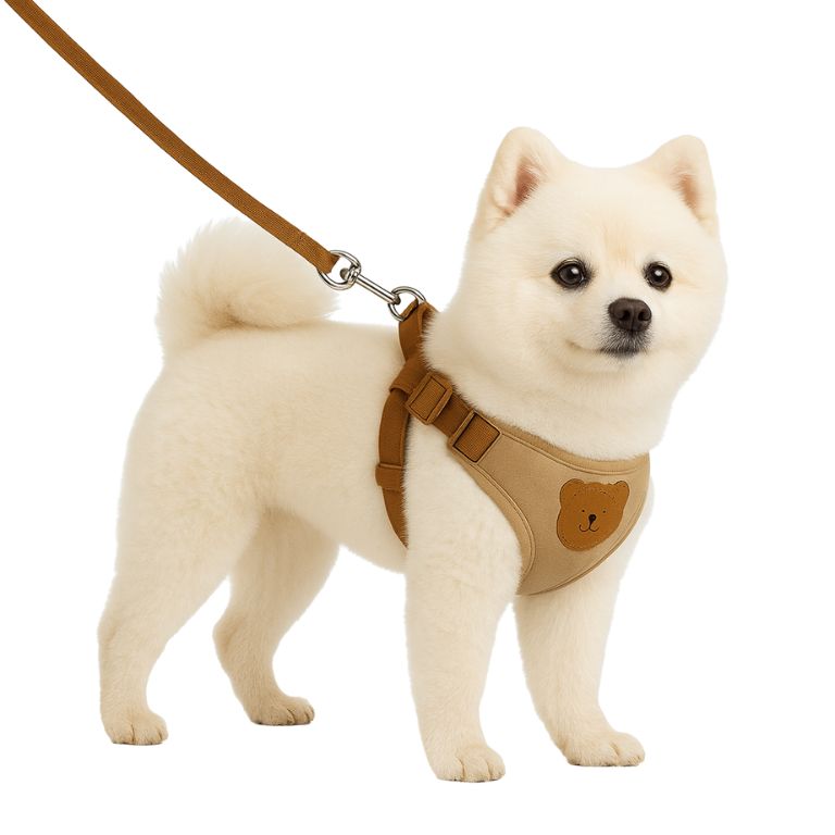 harnais chien comportement