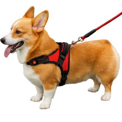 harnais chien voyage