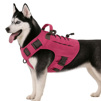 harnais chien pas cher