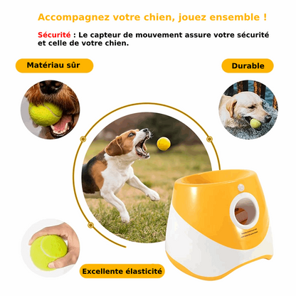 Lanceur de balle Automatique pour Chien