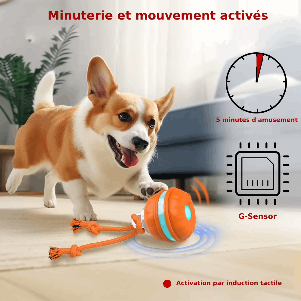 Jouet gigoteur interactif Pour Chien