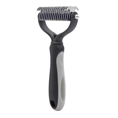 brosse à dents pour chien