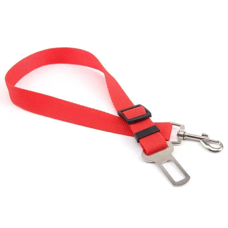 Ceinture Sécurité Chien Voiture – Attache Réglable Auto