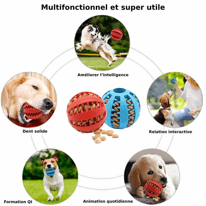 Balle Interactive à Friandises pour Chien