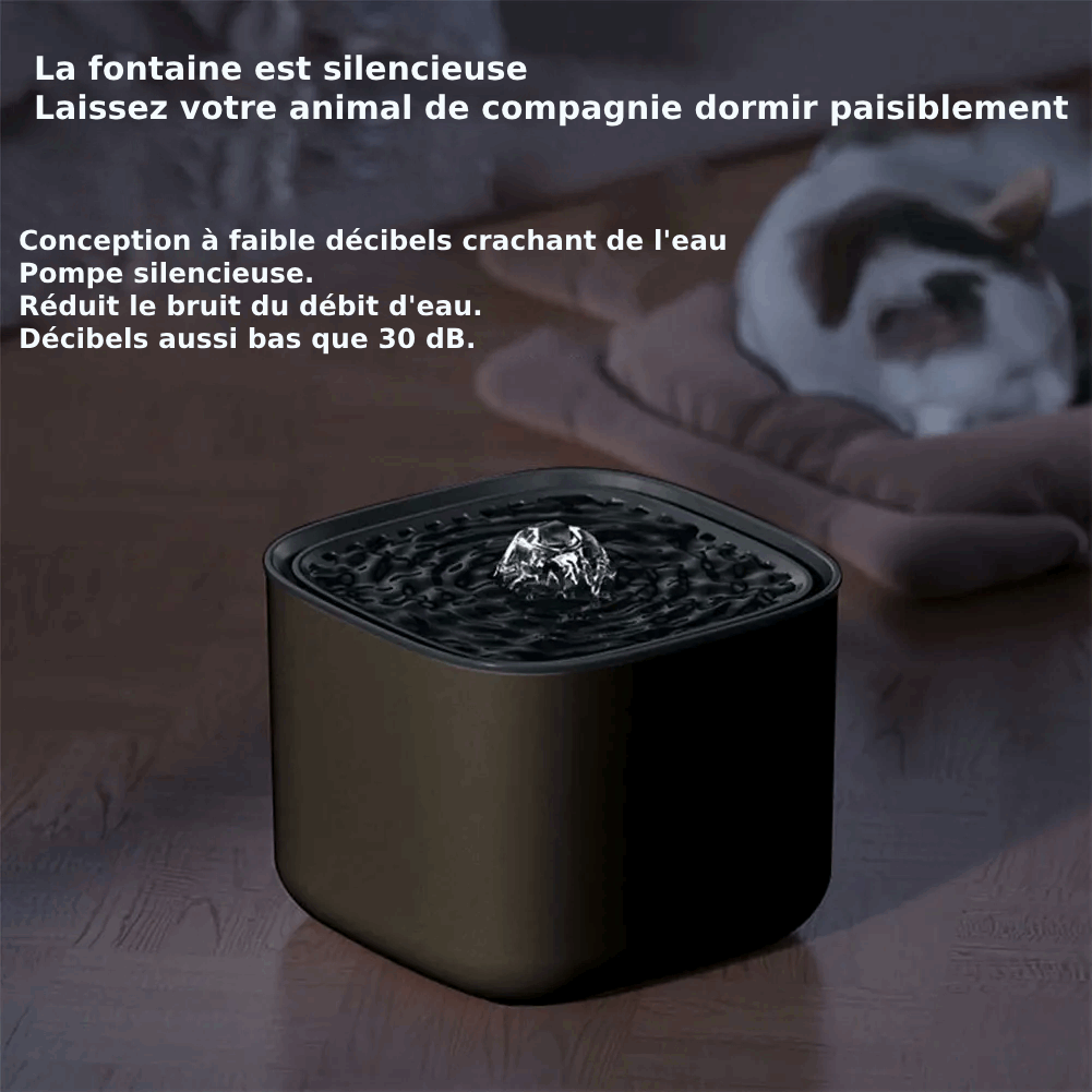 Fontaine à Eau Silencieuse pour Chat avec Filtres à Charbon Actif