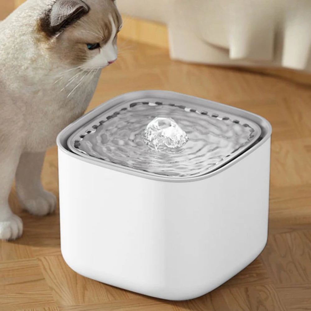 Fontaine à Eau Silencieuse pour Chat avec Filtres à Charbon Actif