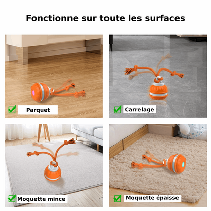 Jouet gigoteur interactif Pour Chien