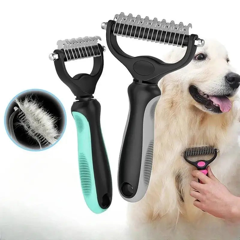brosse à dent pour chien