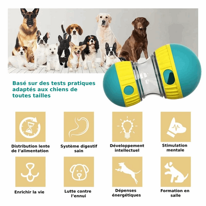 Balle Alimentaire Stimulante pour Chien