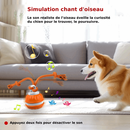 Jouet gigoteur interactif Pour Chien