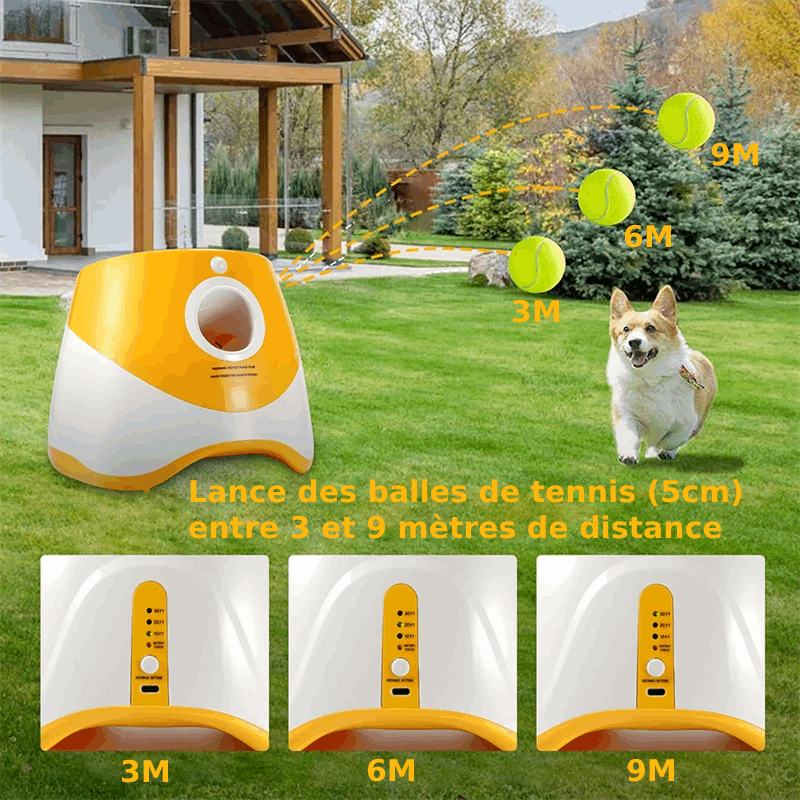 Lanceur de balle Automatique pour Chien