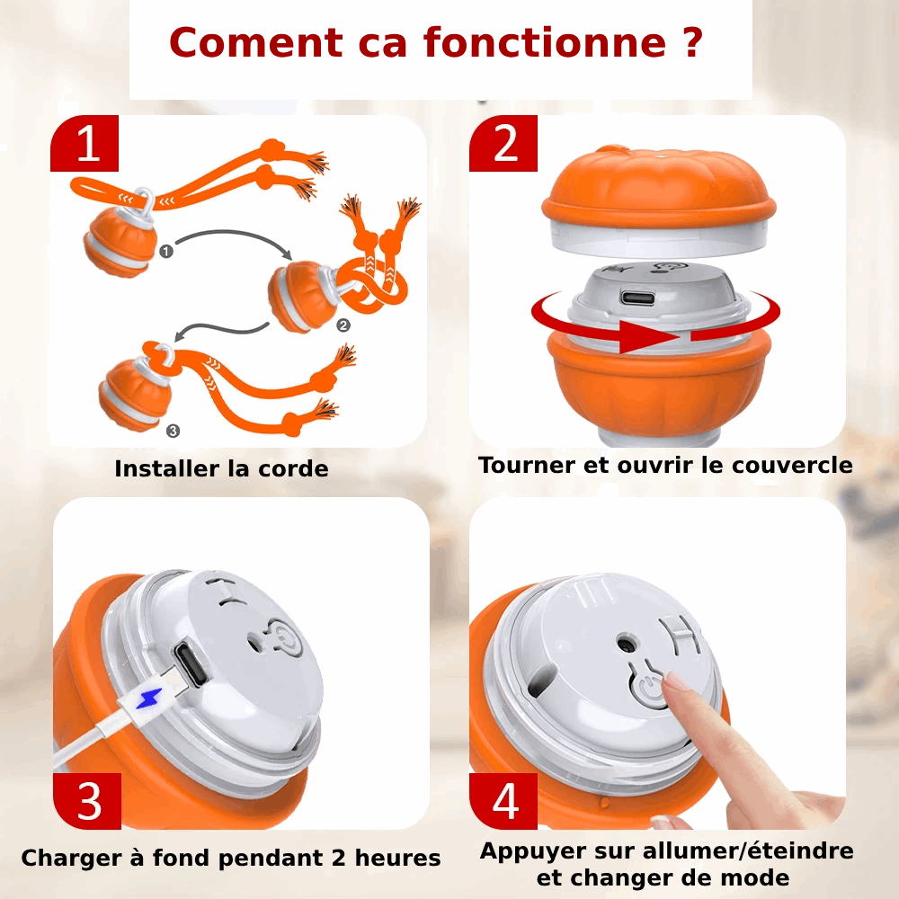 Jouet gigoteur interactif Pour Chien