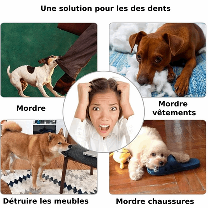 Balle Interactive à Friandises pour Chien