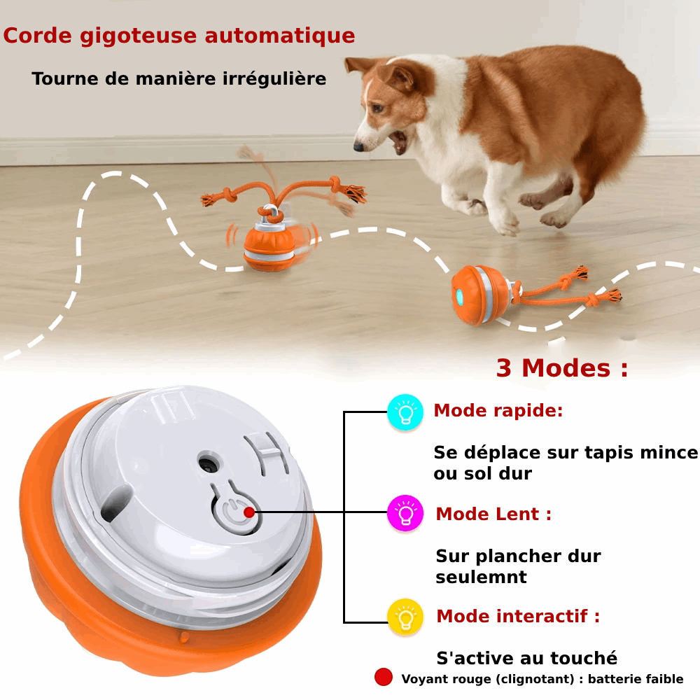 Jouet gigoteur interactif Pour Chien