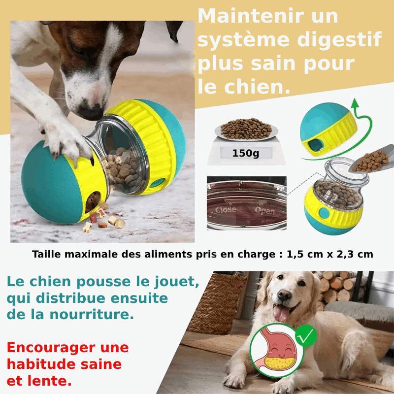 Balle Alimentaire Stimulante pour Chien