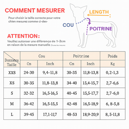 Outdoor Walking Pincher Dog Harness and Leash Set for Small Medium Dogs Chihuahua mascotas Vest Harnesses Pomerian Accessories