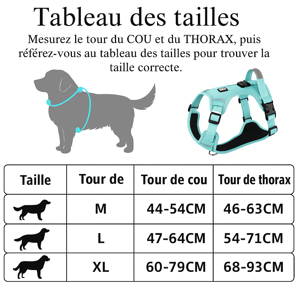 Harnais Chien Course à Pied – Confort et Performance en Running