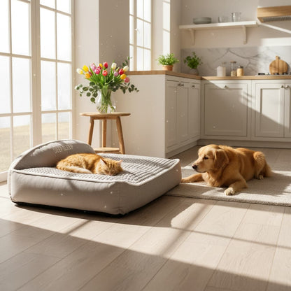 meilleur lit orthopédique pour grand chien