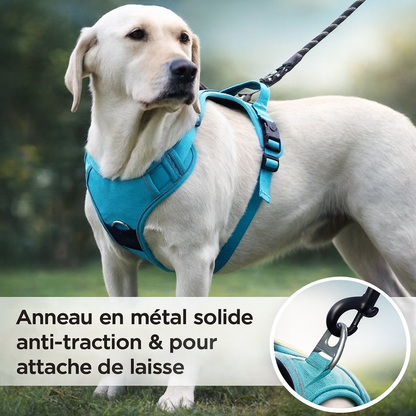 Harnais Chien Course à Pied – Confort et Performance en Running