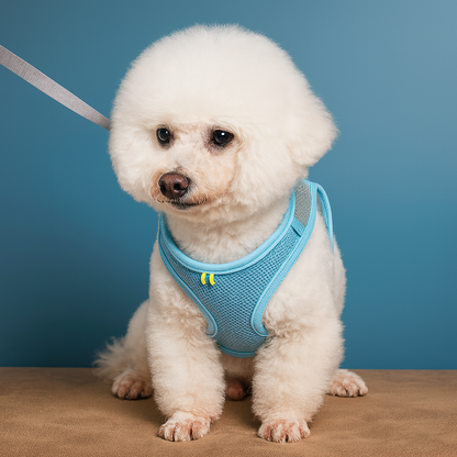 Dog Harness Leash Set for Small Dogs French Bulldog Chihuahua Pug Outdoor Walking Lead Leash Adjustable Puppy Cat Harness Vest